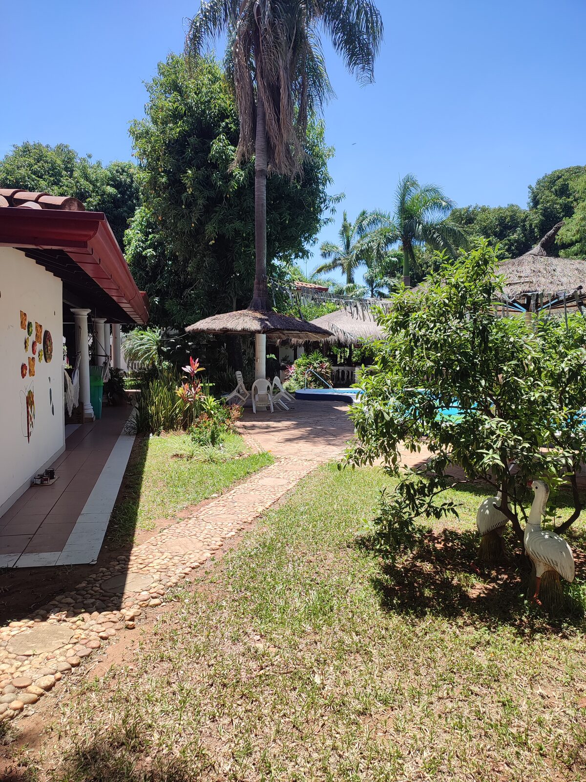 Camino del jardín