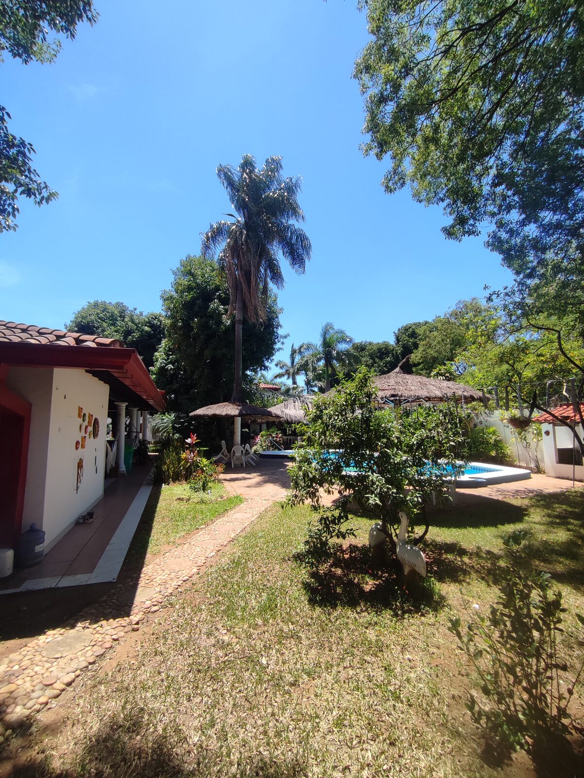 Piscina y jardín
